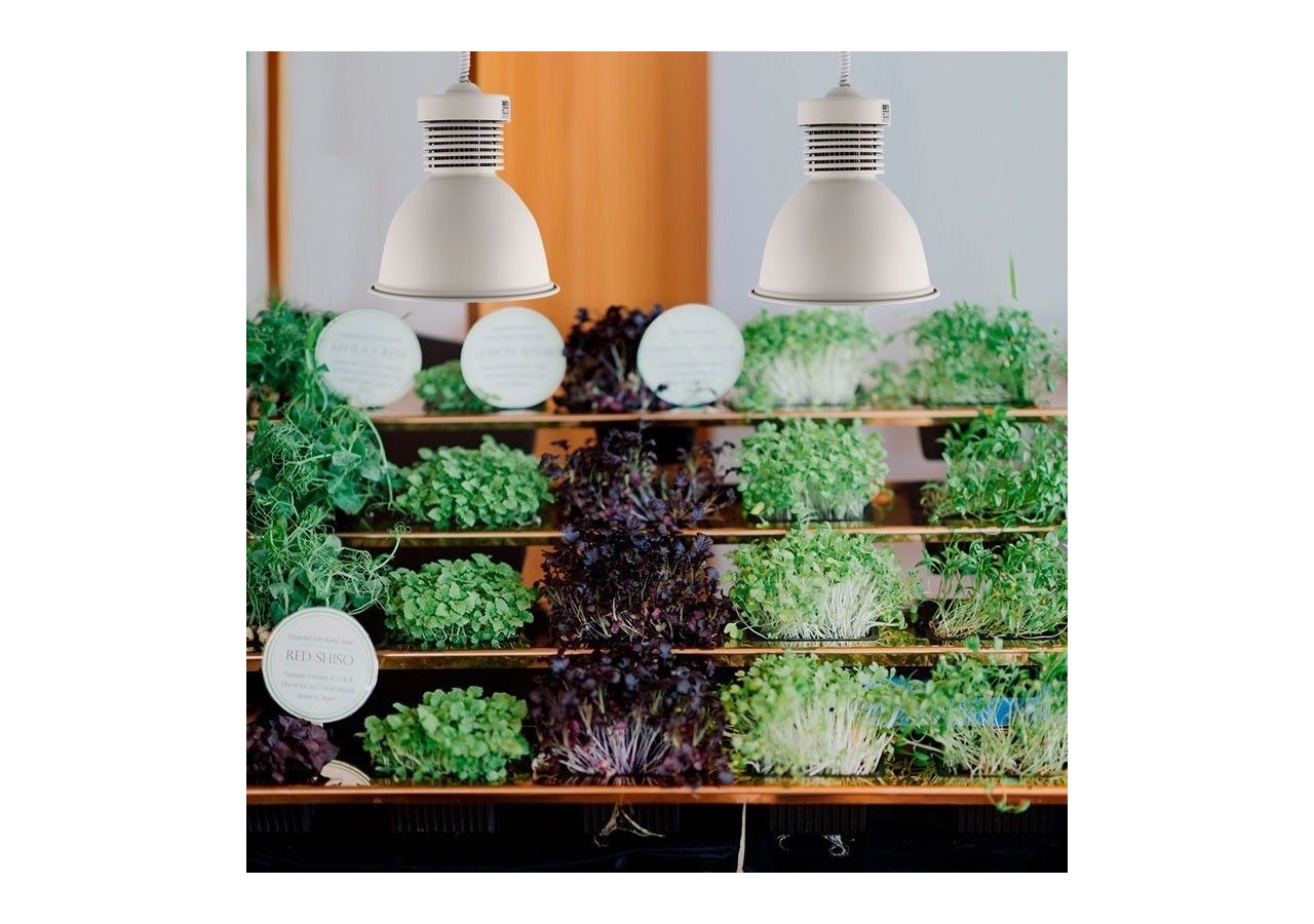 Cloche LED 36W spéciale pour les magasins de fruits et légumes - B8710-B-VER - Barcelona LED