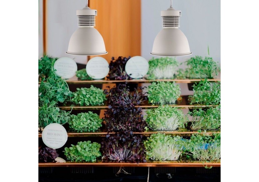 Cloche LED 36W spéciale pour les magasins de fruits et légumes - B8710-B-VER - Barcelona LED