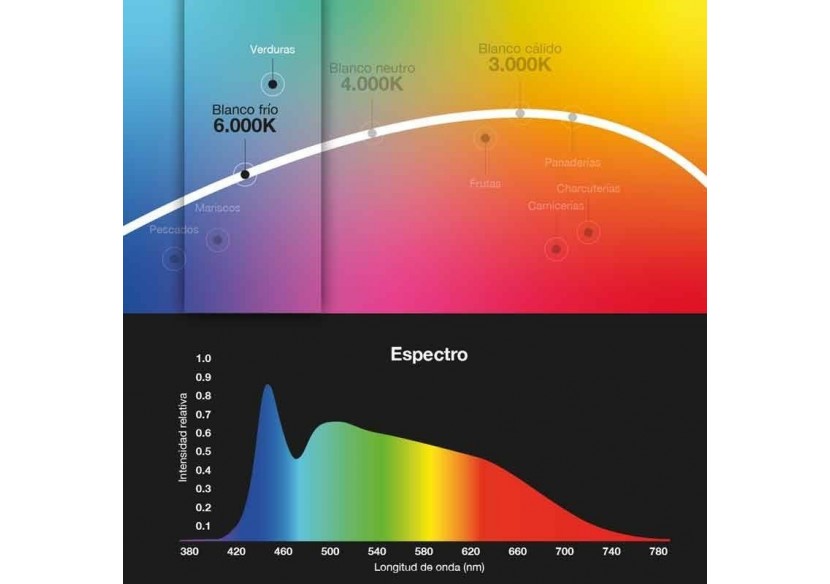 Cloche LED 36W spéciale pour les magasins de fruits et légumes - B8710-B-VER - Barcelona LED