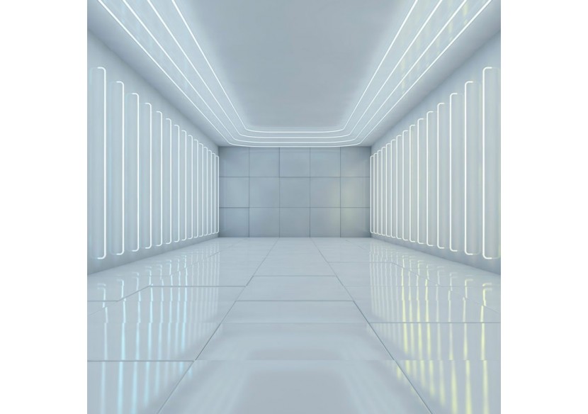 Clip Néon LED avec référence N1212-10M 35x16mm - N1212-GPT - Barcelona LED