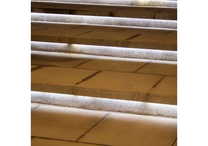 Ruban LED COB 24V DC-10W/m-10mm-IP67-Rouleau de 5 mètres-Sécable tous les 1cm - B1569-5-BF - Barcelona LED