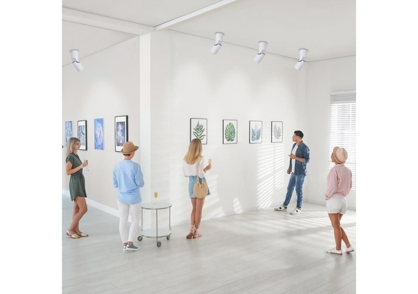 Spot LED de surface orientable-2700K-Puce Cree-15W - B2052-B - Barcelona LED