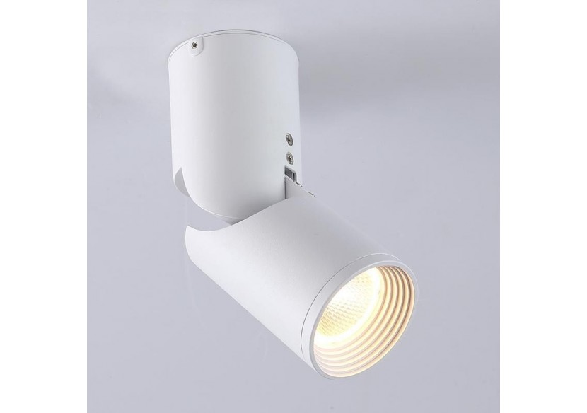 Spot LED de surface orientable-2700K-Puce Cree-15W - B2052-B - Barcelona LED