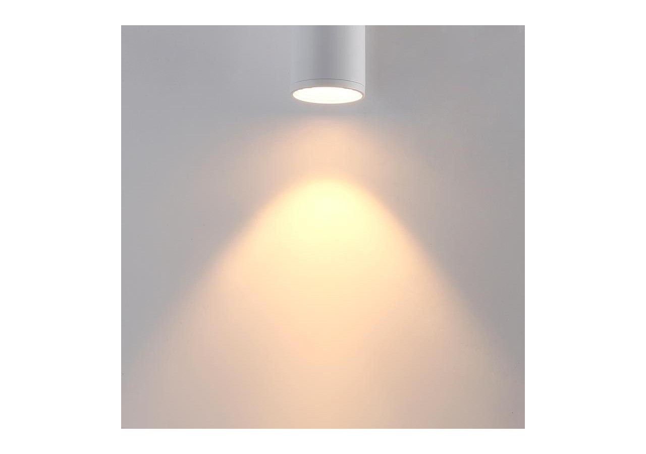 Spot LED de surface orientable-2700K-Puce Cree-15W - B2052-B - Barcelona LED