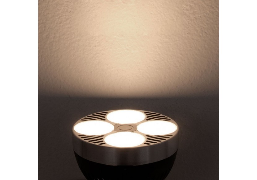 Kit projecteur "CINEMA" orientable pour rail monophasé avec ampoule LED PAR30 E27 - K233-MON-BN - Barcelona LED