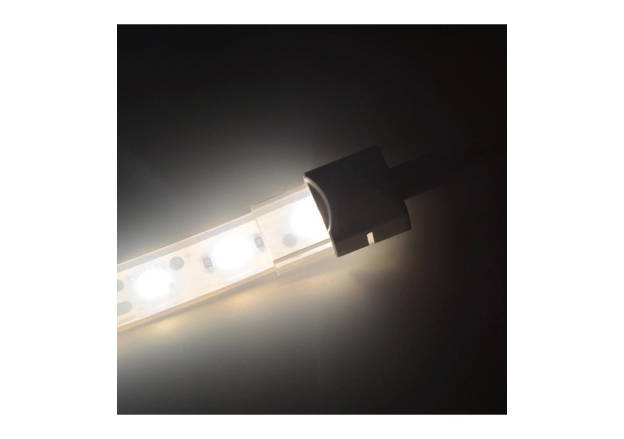 Connecteur étanche pour ruban LED avec câble-2 pins-ruban de 10 mm-IP68 - SDN10BXB-2W80 - Barcelona LED