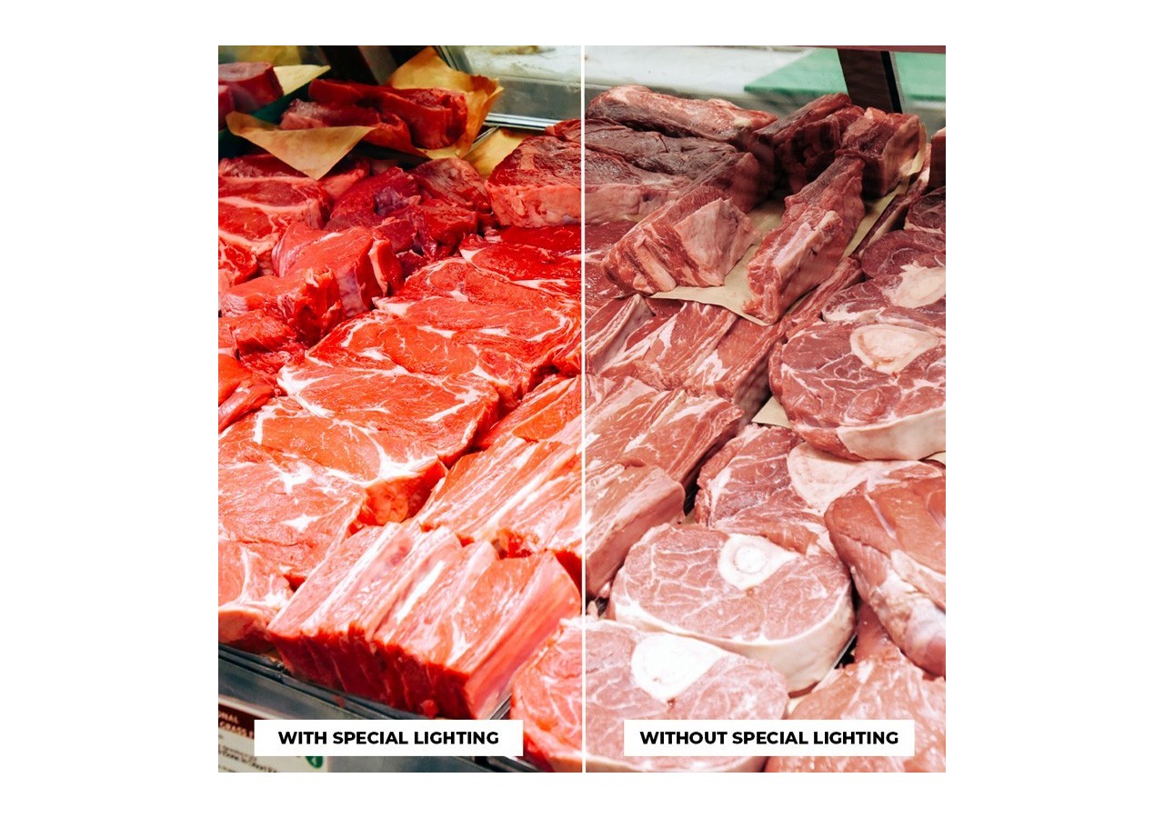 Projecteur LED sur rail monophasé spécial boucherie-Driver intégré Philips CertaDrive-LED COB-40W - B00574-N-CAR - Barcelona LED