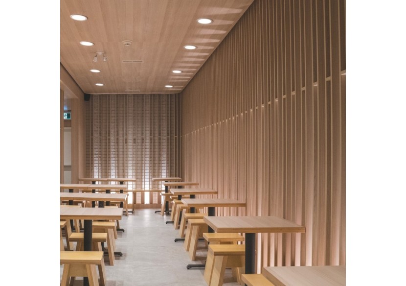 Downlight LED CCT haute efficacité-40W-Driver Lifud-Coupe diamètre 200-220mm - B1265-CCT - Barcelona LED