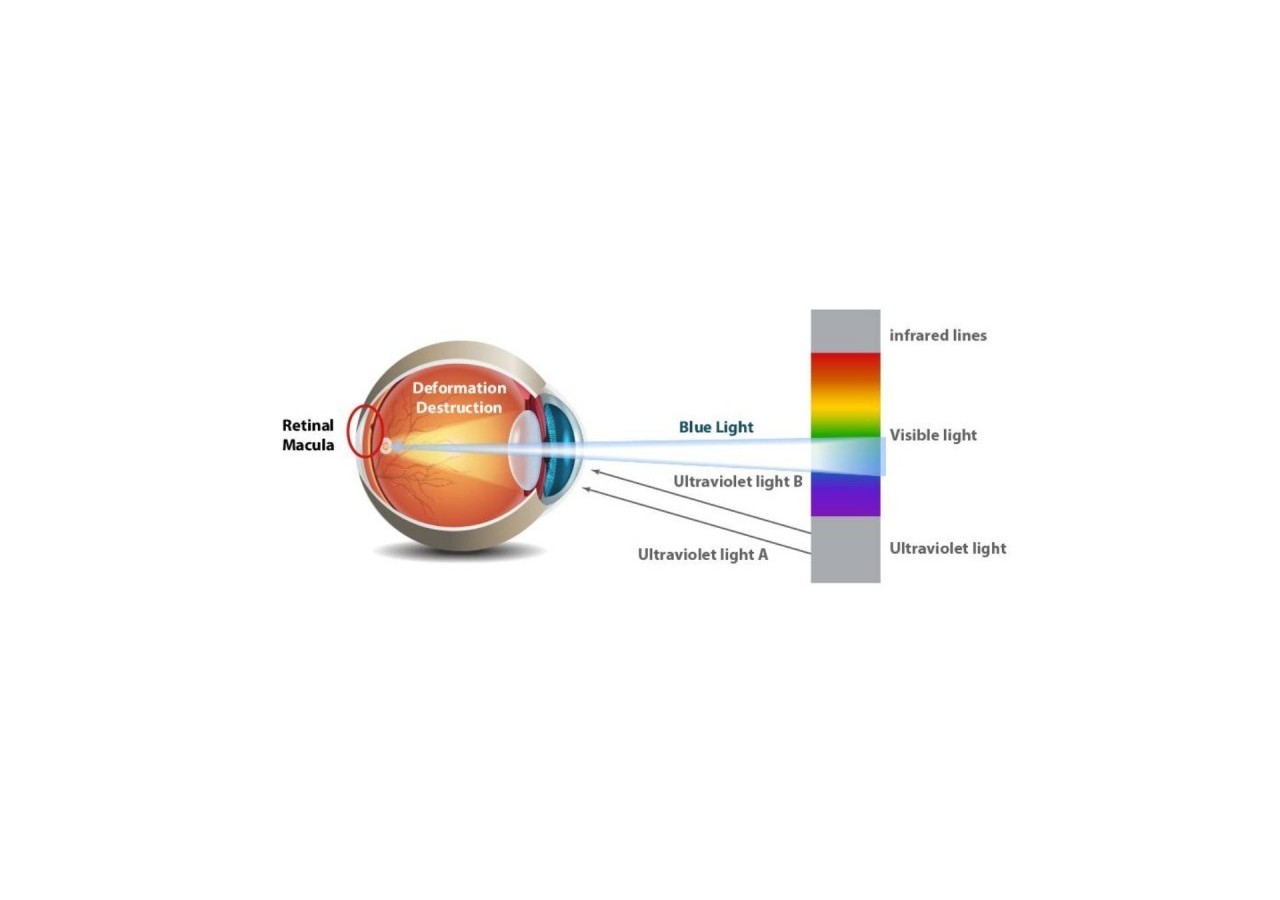 Ampoule LED GU10 6W Full Spectrum "SUNLIKE"-Verre-500lm-IRC90-PAR16-36 degrés - BSC1-PAR16GU10-RA90-BC - Barcelona LED