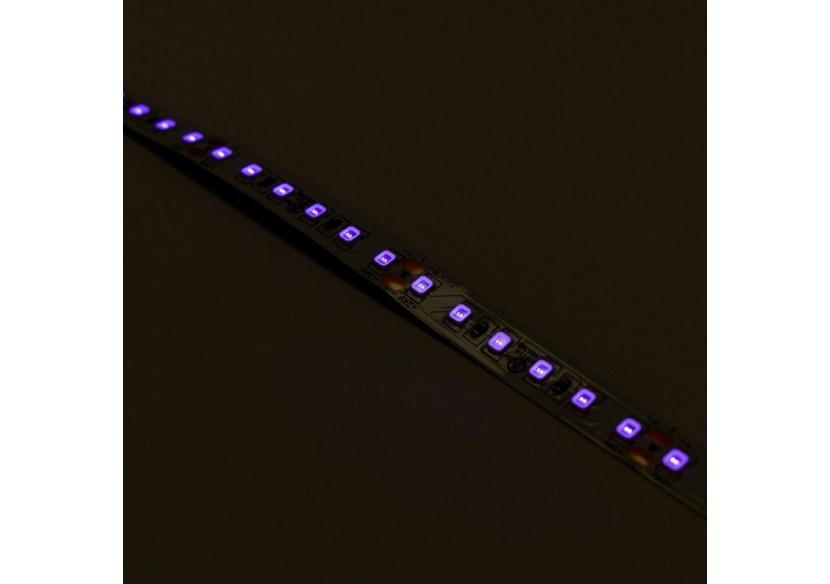 Ruban LED 24V DC-18W/m-Ultraviolet-10mm-IP20-5m-SMD2835 120LED/m - B1552-UV - Barcelona LED