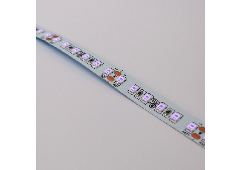 Ruban LED 24V DC-18W/m-Ultraviolet-10mm-IP20-5m-SMD2835 120LED/m - B1552-UV - Barcelona LED