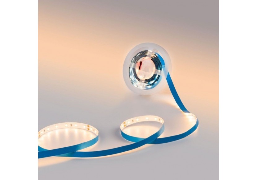 Ruban LED 24V DC-12W/m-Monochrome-10mm-IP20 -5m-SMD2835 60LED/m - B1653-270 - Barcelona LED