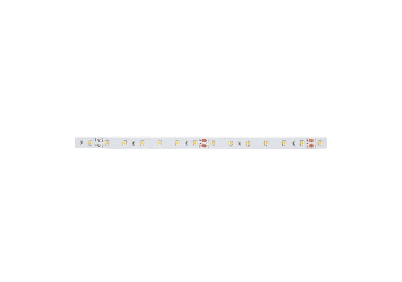 Ruban LED 24V DC-12W/m-Monochrome-10mm-IP20 -5m-SMD2835 60LED/m - B1653-270 - Barcelona LED