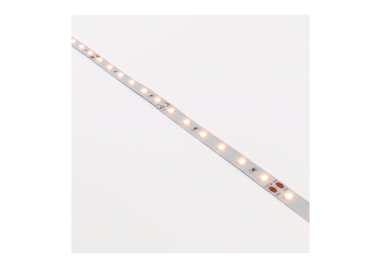 Ruban LED 24V DC-12W/m-Monochrome-10mm-IP20 -5m-SMD2835 60LED/m - B1653-270 - Barcelona LED