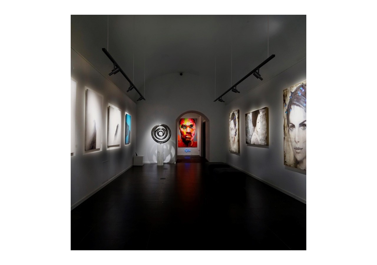 Projecteur faisceau ajustable sur rail magnétique 48V-10W-20 degrés -35 degrés - PMC-SHAP-SDIM-N-BC - Barcelona LED