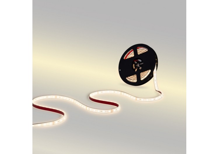 Ruban LED 24V DC-12W/m-Monochrome-12mm-IP67-5m-SMD2835 60 puces/m - B1653-IP67-270 - Barcelona LED 2