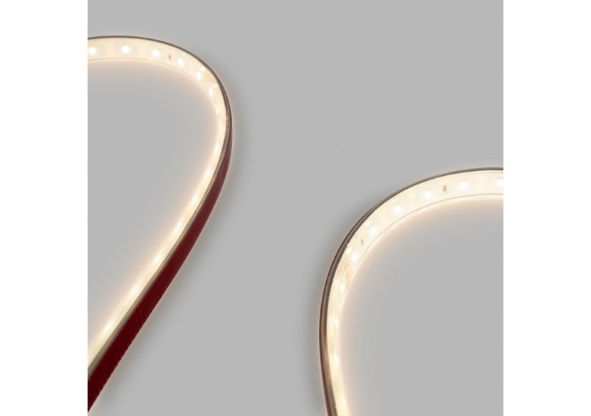 Ruban LED 24V DC-12W/m-Monochrome-12mm-IP67-5m-SMD2835 60 puces/m - B1653-IP67-270 - Barcelona LED