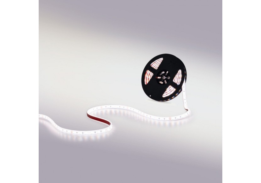 Ruban LED 24V-DC-90W-IP67-Température de couleur dimmable CCT-1800-6500K-SMD2835-Rouleau de 5m - B1515-D-IP67 - Barcelona LED