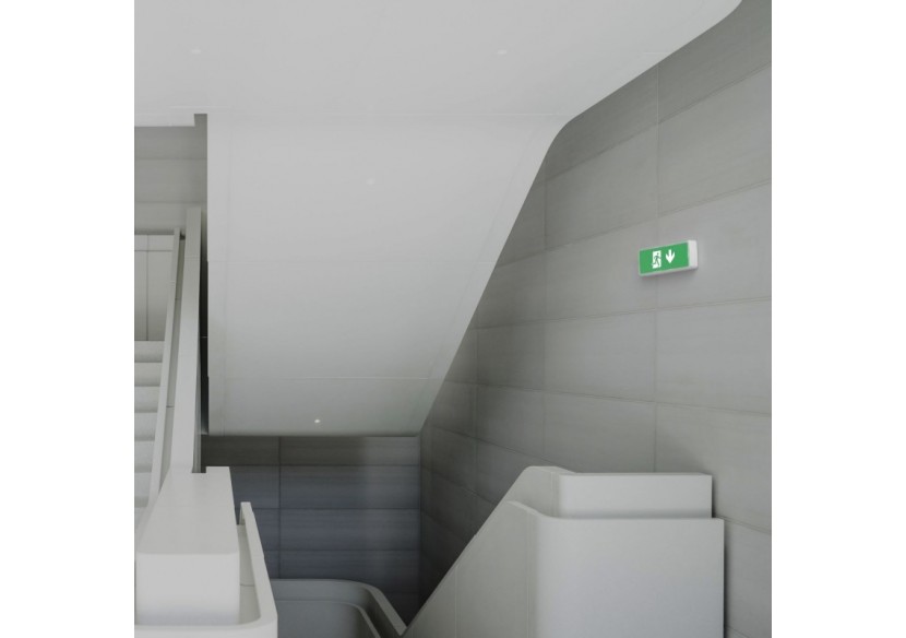 KIT Pictogramme autocollant "SORTIE VERS LE BAS" + Bloc d'éclairage 3W - K-B1050-DOWNARROW - Barcelona LED KIT Pictogramme autocollant "SORTIE VERS LE BAS" + Bloc d'éclairage 3W - K-B1050-DOWNARROW - Barcelona LED