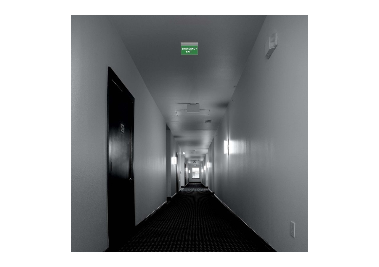 Bloc autonome d'éclairage de sécurité avec pictogramme "EMERGENCY EXIT"-Suspension - K-B1062-EMEXIT - Barcelona LED