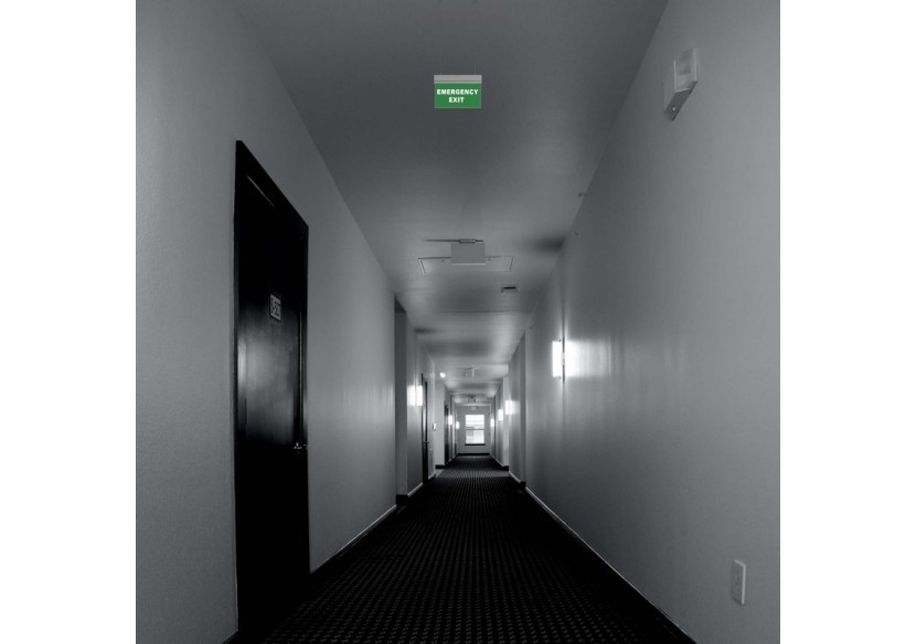 Bloc autonome d'éclairage de sécurité avec pictogramme "EMERGENCY EXIT"-Suspension - K-B1062-EMEXIT - Barcelona LED