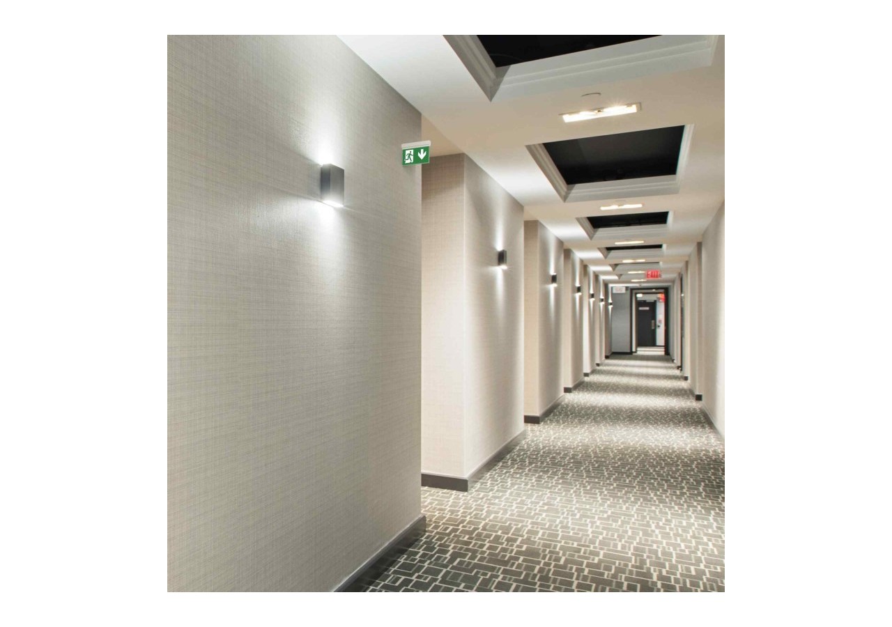 Bloc autonome d'éclairage de sécurité avec pictogramme "SORTIE VERS LE BAS" - K-B1061-DOWNARROW - Barcelona LED