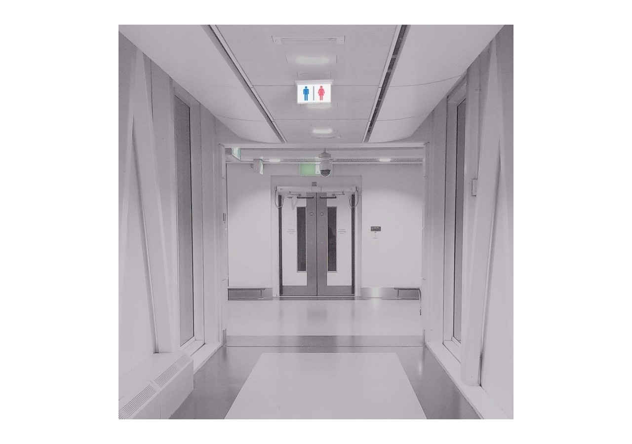 Bloc autonome d'éclairage de sécurité avec pictogramme "TOILETTES"-Encastrable - K-B1063-BAÑOS - Barcelona LED