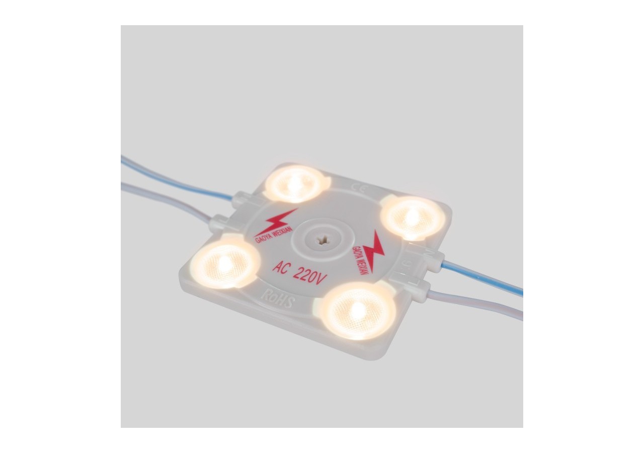 Module LED carré pour enseignes lumineuses-3,6W-220V AC-IP65-165 degrés-3000K - BM1428BC - Barcelona LED