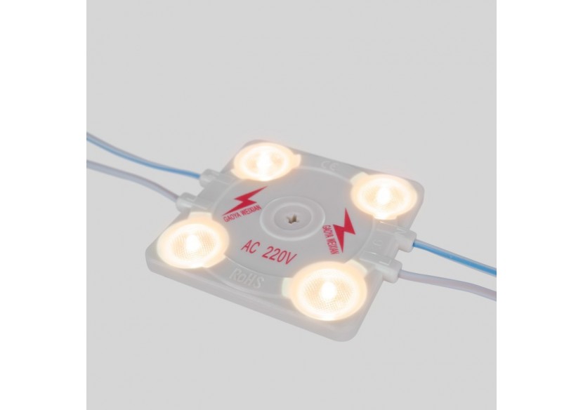 Module LED carré pour enseignes lumineuses-3,6W-220V AC-IP65-165 degrés-3000K - BM1428BC - Barcelona LED