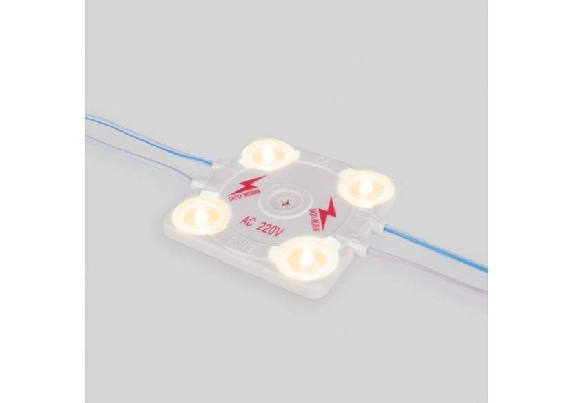 Module LED carré pour enseignes lumineuses-3,6W-220V AC-IP65-165 degrés-3000K - BM1428BC - Barcelona LED