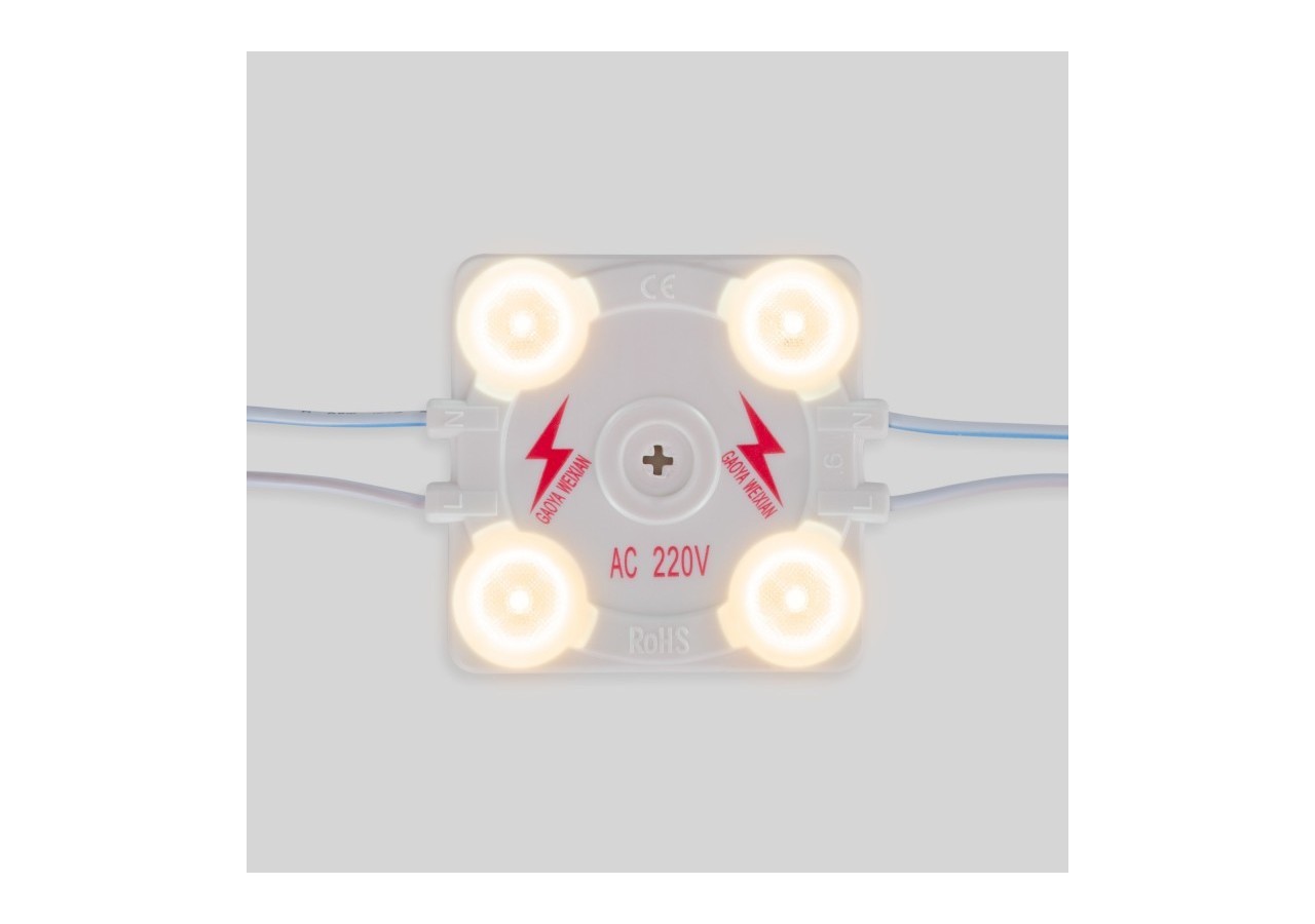 Module LED carré pour enseignes lumineuses-3,6W-220V AC-IP65-165 degrés-3000K - BM1428BC - Barcelona LED