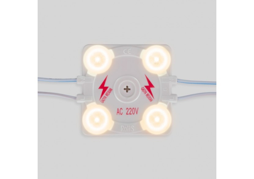 Module LED carré pour enseignes lumineuses-3,6W-220V AC-IP65-165 degrés-3000K - BM1428BC - Barcelona LED
