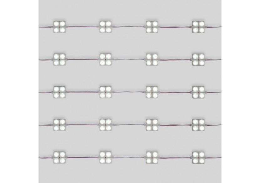 Module LED carré pour enseignes lumineuses-2W-12V-IP65-160 degrés-6000K - BM1437BF - Barcelona LED