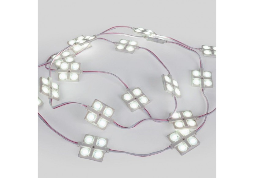 Module LED carré pour enseignes lumineuses-2W-12V-IP65-160 degrés-6000K - BM1437BF - Barcelona LED