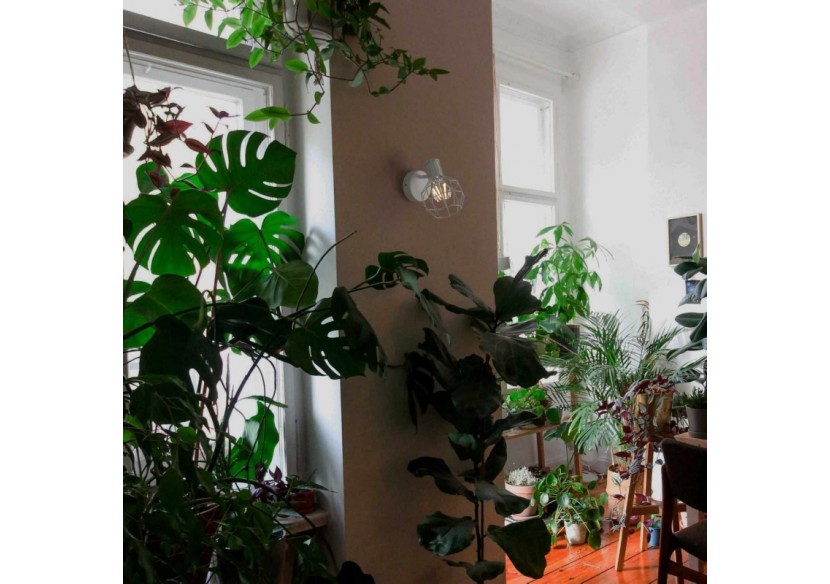 Applique murale "Azor" E14 - L110-B-1 - Barcelona LED